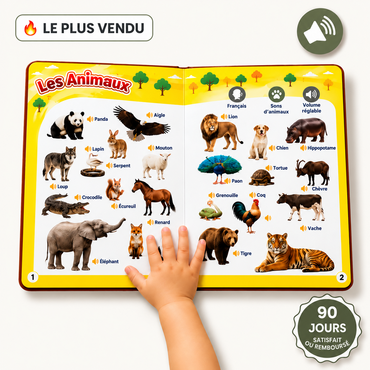 Livre éducatif avec son